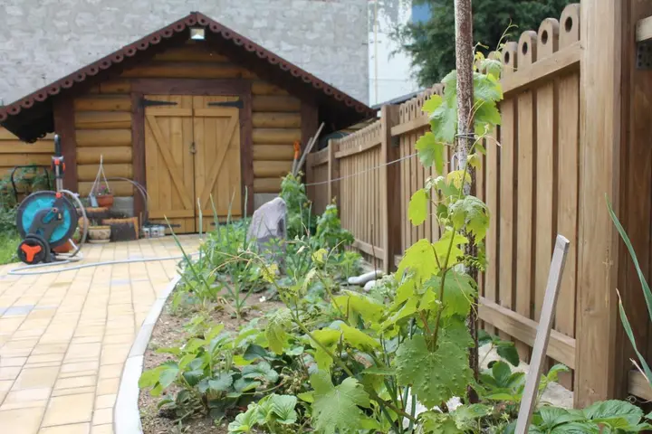 Голубицкая: Guest House Metelitsa