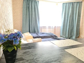 Домодедово: Апартаменты Runway Apartments Курыжова 30