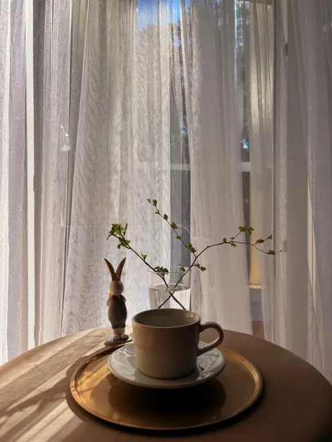 Светлогорск: Квартира Sunny Forest
