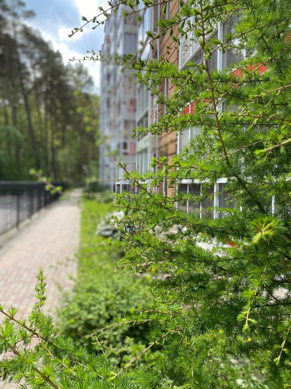 Квартира Sunny Forest — фото 4