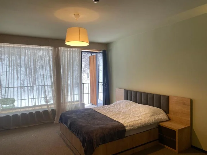 Бакуриани: Apartment Kokhta-Mitarbi Resort 2, 3, 14