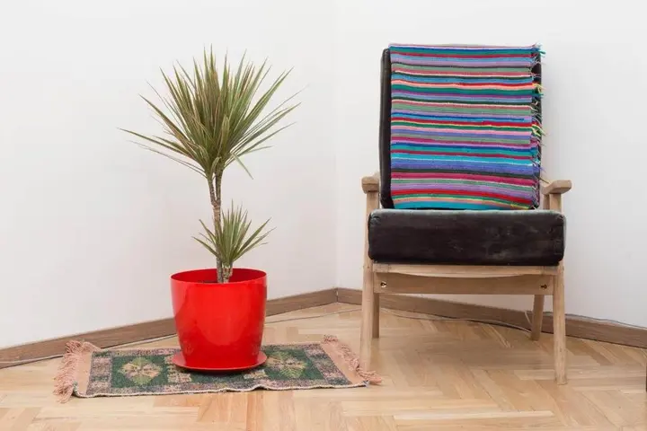 Тбилиси: ? Colorful 1 BR Apt next 2 Rooms Hotel ?