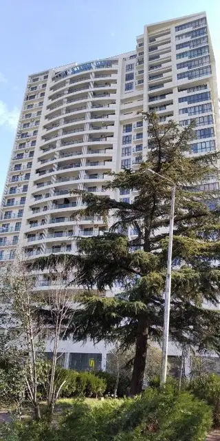 Realty Guide Hoteling Rgh 143A King David — фото 1