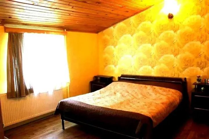 Бакуриани: Hotel Dracon