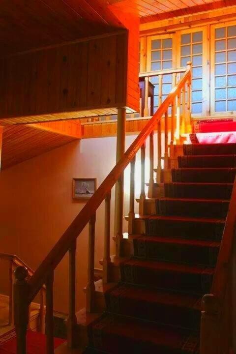 Бакуриани: Hotel Dracon