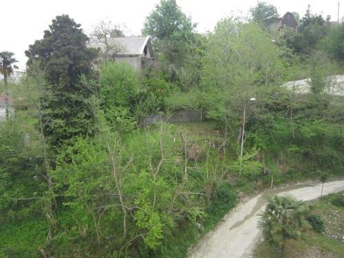 Батуми: Medo's Guest House