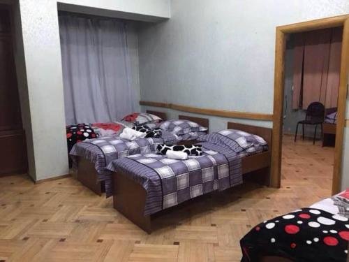 Тбилиси: Golden Fleece Hostel