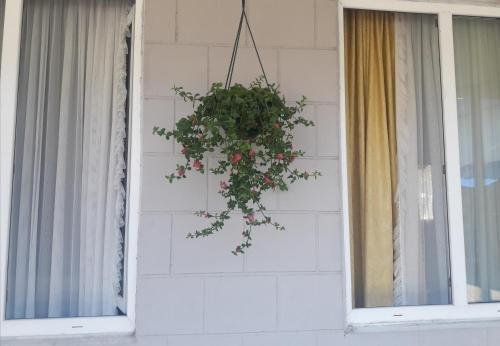 Hortensia Guest house — фото 5