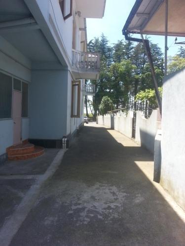 Кобулети: Guesthouse Burevestnik