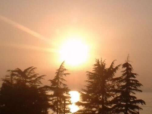 Батуми: Guesthouse Sun beam