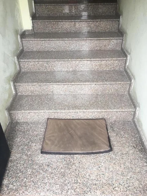 Батуми: Hotel Subtropik