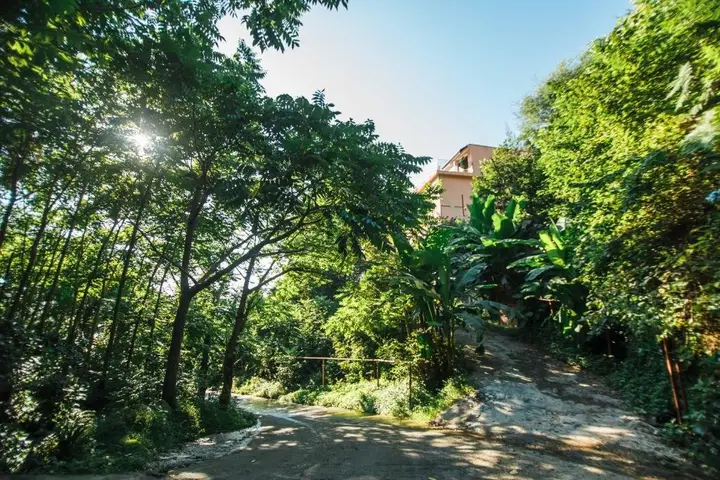 Hotel in Nature/Отель в природе — фото 2