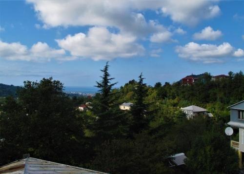 Батуми: Eco Villa Guesthouse
