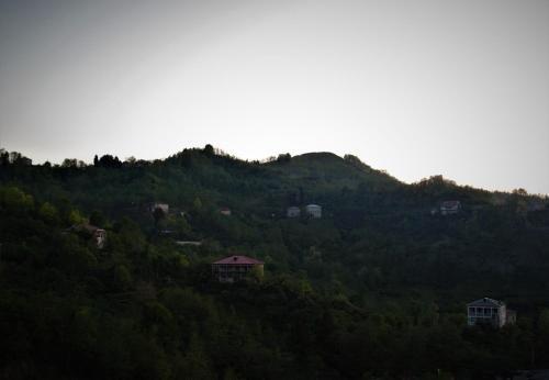 Батуми: Eco Villa Guesthouse