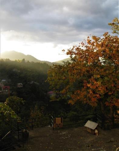 Батуми: Eco Villa Guesthouse