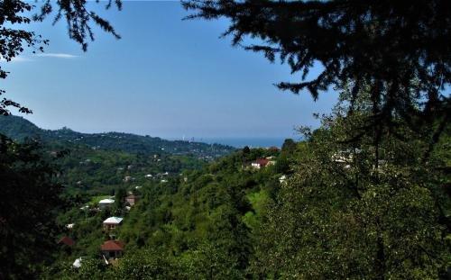 Батуми: Eco Villa Guesthouse