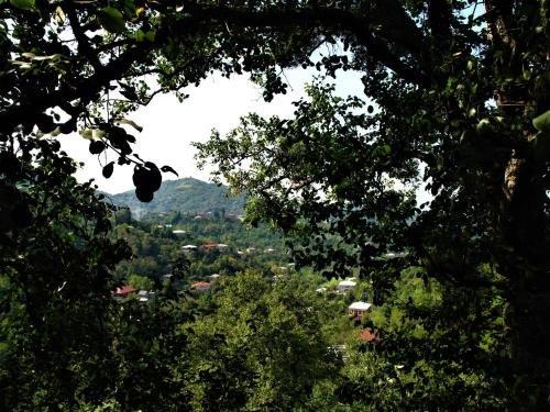 Батуми: Eco Villa Guesthouse