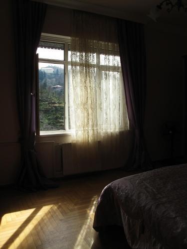Батуми: Eco Villa Guesthouse