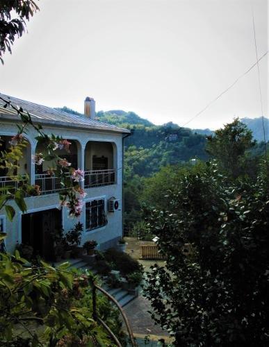 Батуми: Eco Villa Guesthouse