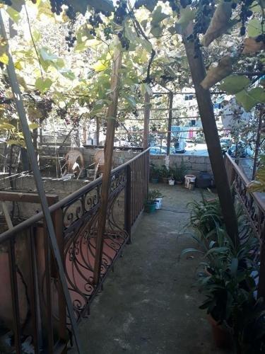Батуми: meri apartament