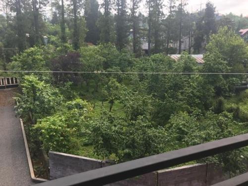 Батуми: Helen's guest house