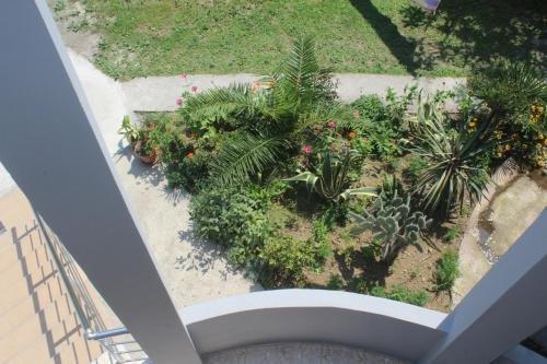 Батуми: Guest House Daviti