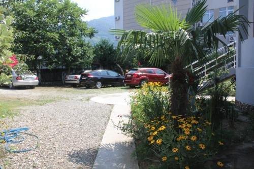 Батуми: Guest House Daviti