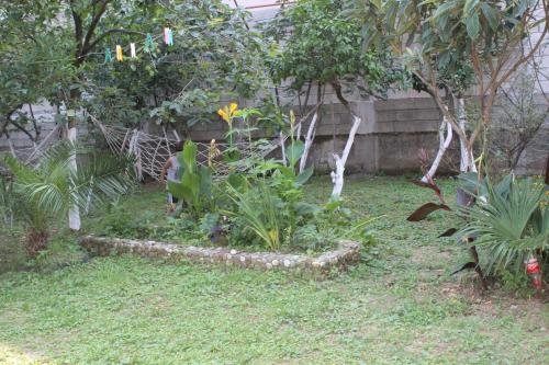 Батуми: Guest House Daviti