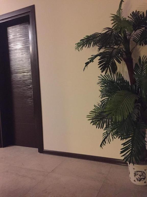 Батуми: Shio Hotel