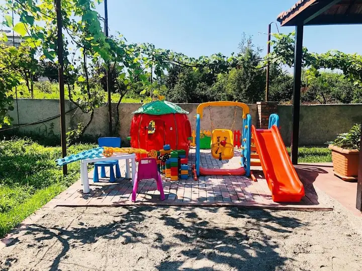 Paliashvili in chakvi — фото 4