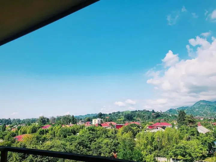 Батуми: Paliashvili in chakvi