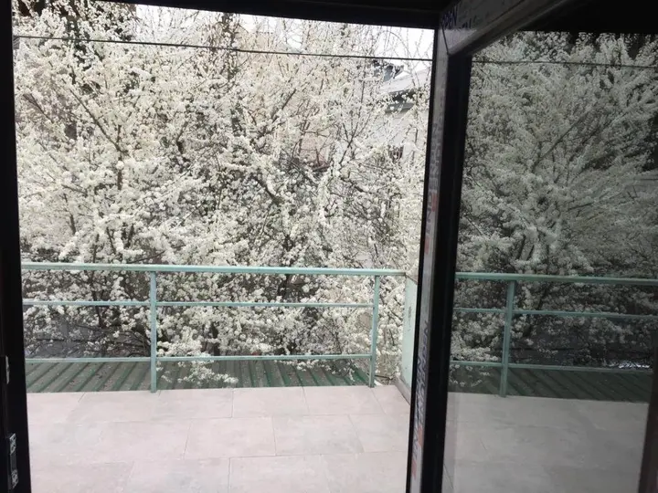 Тбилиси: Green House Hostel