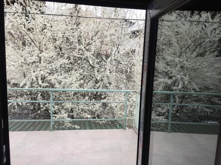 Тбилиси: Green House Hostel