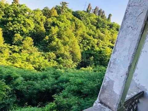 Батуми: Green Cape Villa