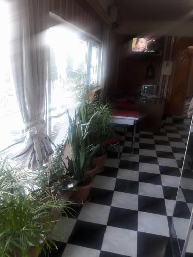 Зугдиди: Hotel ZUGDIDI