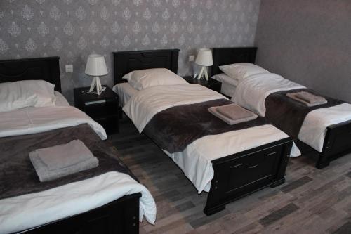 Степанцминда: Guesthouse Elia