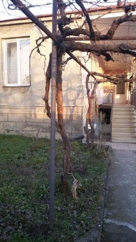 Кварели: Guest House Ana