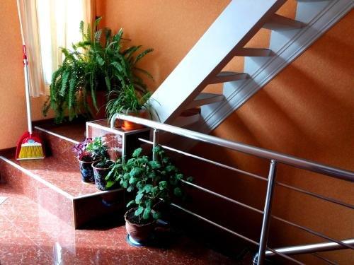 Батуми: Guesthouse Next to beach
