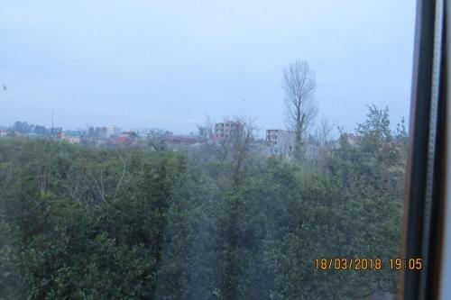 Батуми: House Nika