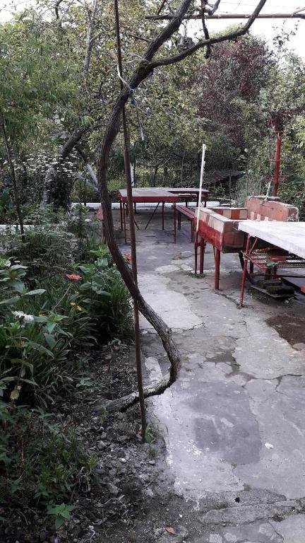 Кобулети: liziko's House