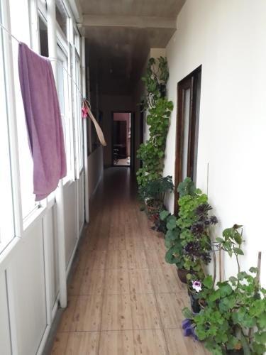Батуми: Guest House Nino