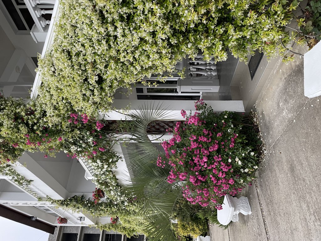 Новый Афон: Hotel Phanakopi