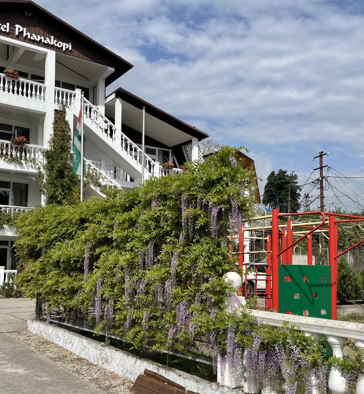 Новый Афон: Hotel Phanakopi