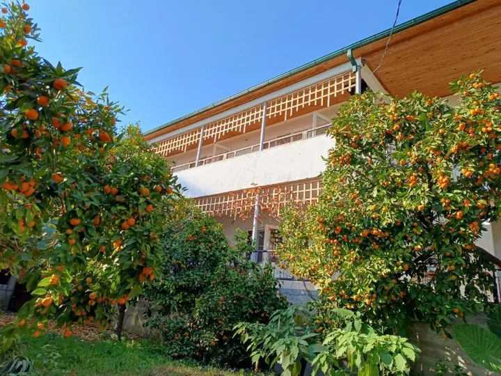 Новый Афон: Inzhir Guest house