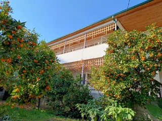 Новый Афон: Inzhir Guest house