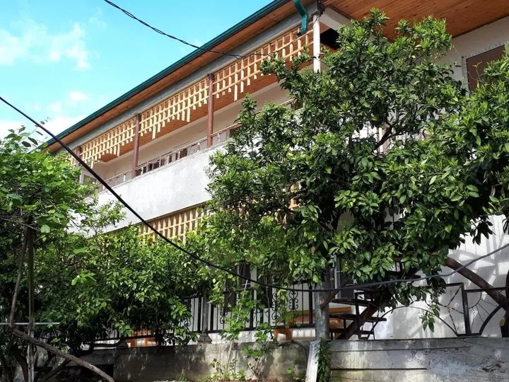 Новый Афон: Inzhir Guest house