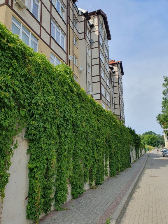Светлогорск: Квартира Silent Place on Olymp