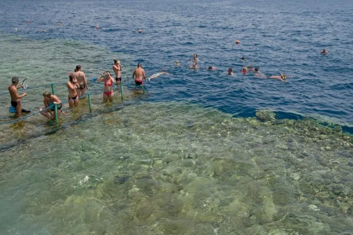 Шарм-эш-Шейх (Шарм-эль-Шейх): Курортный Отель Dreams Beach Sharm el Sheikh Travel