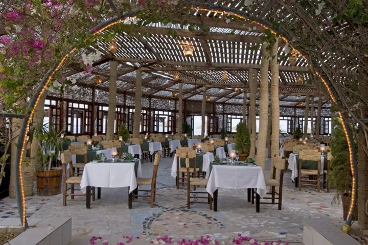 Шарм-эш-Шейх (Шарм-эль-Шейх): Курортный Отель Dreams Beach Sharm el Sheikh Travel