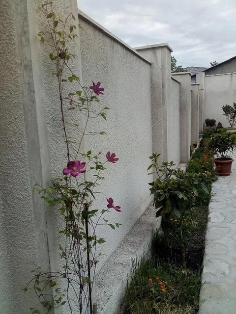 Телави: Nino's Guest House